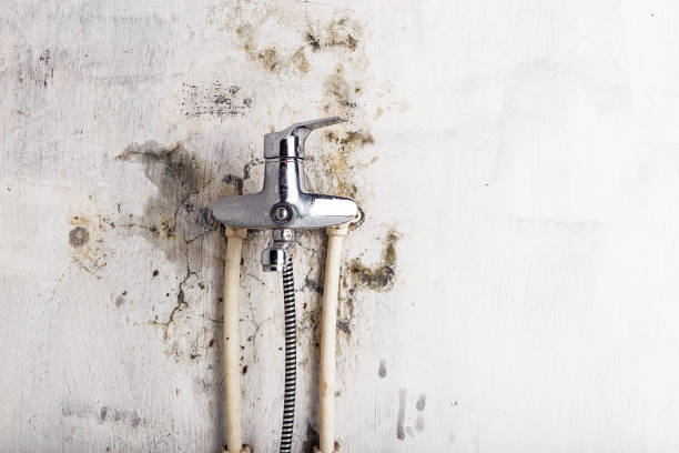 Best Water Damage Restoration  in Virden, IL