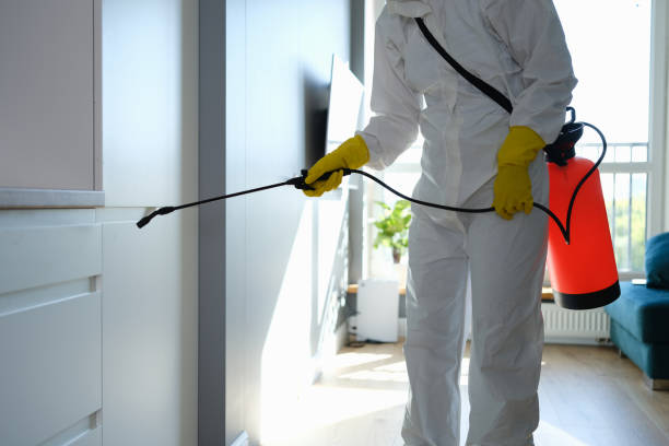 Best Mold Testing  in Virden, IL